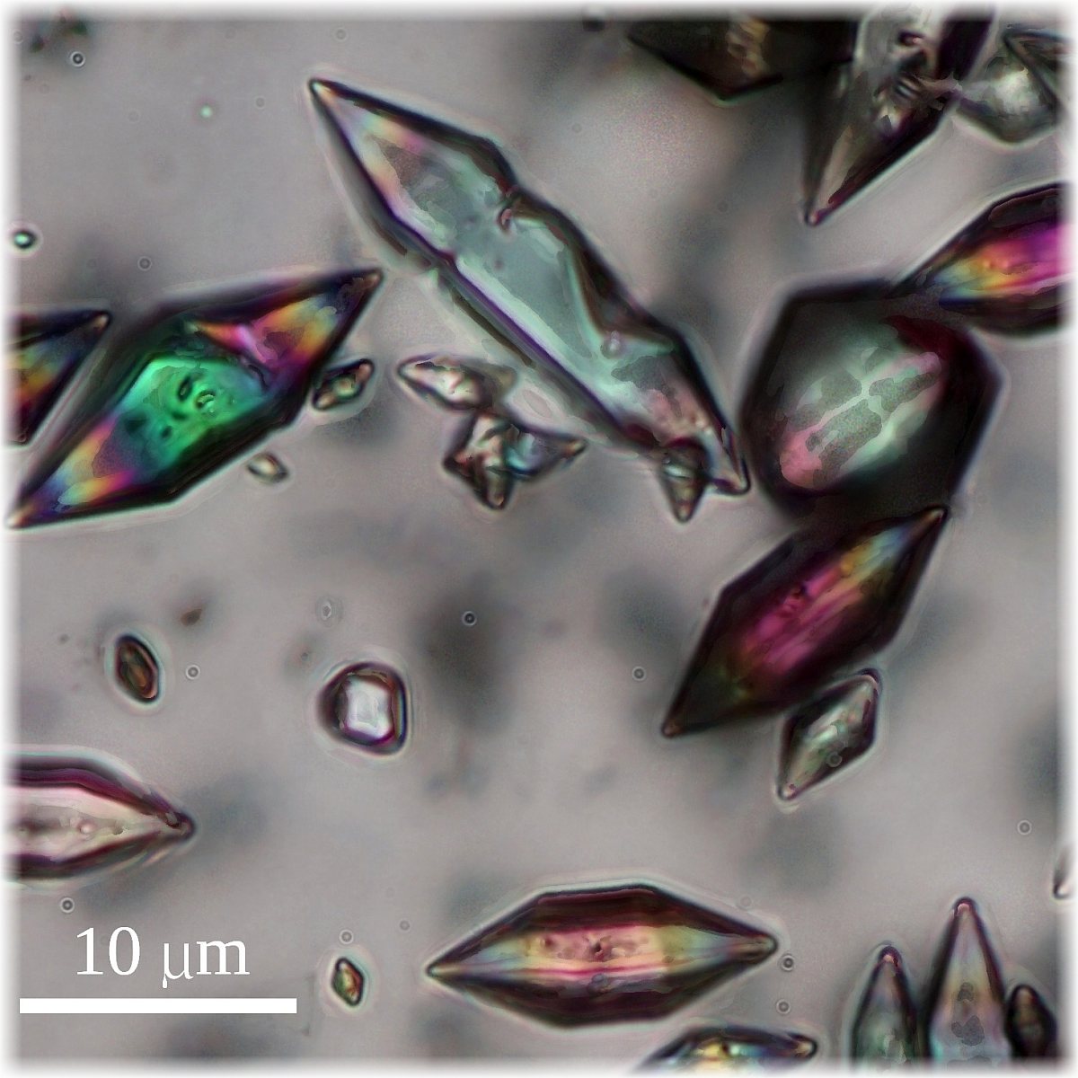 Crystals of elemental sulphur